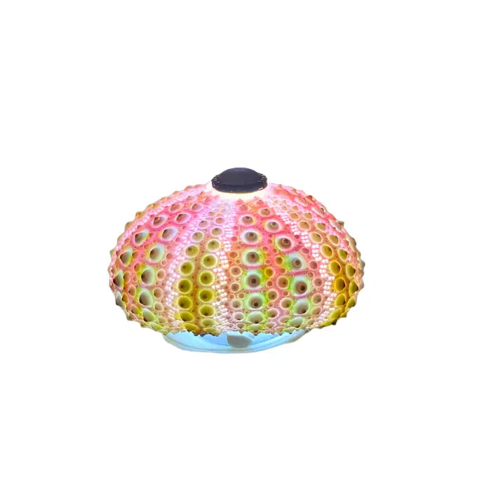 DIY Sea Urchin Nightstand Lamp with Soft Ambient Light
