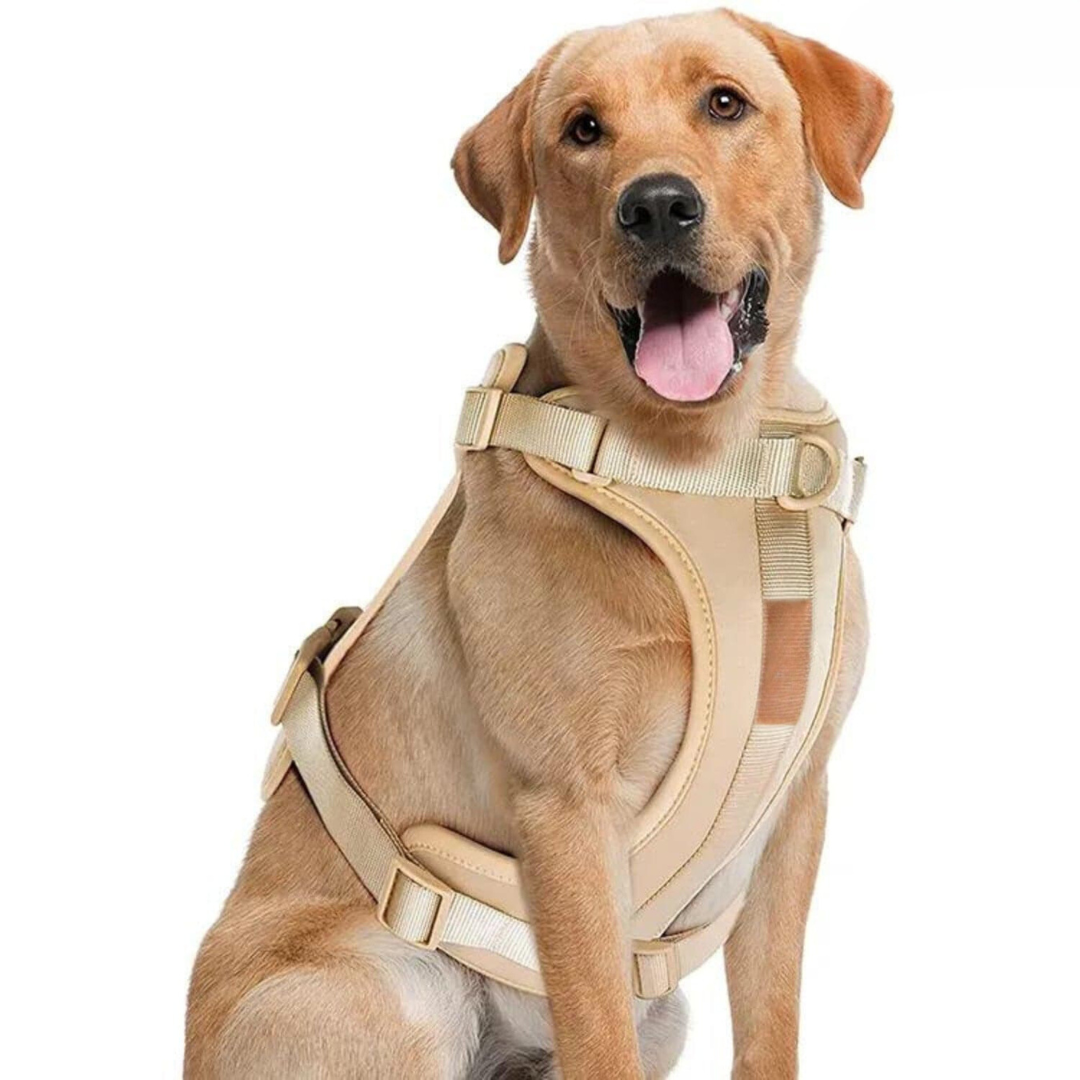 ComfyPaws No-Pull Dog Harness Walking Set with Leash and Poop Bag Holder