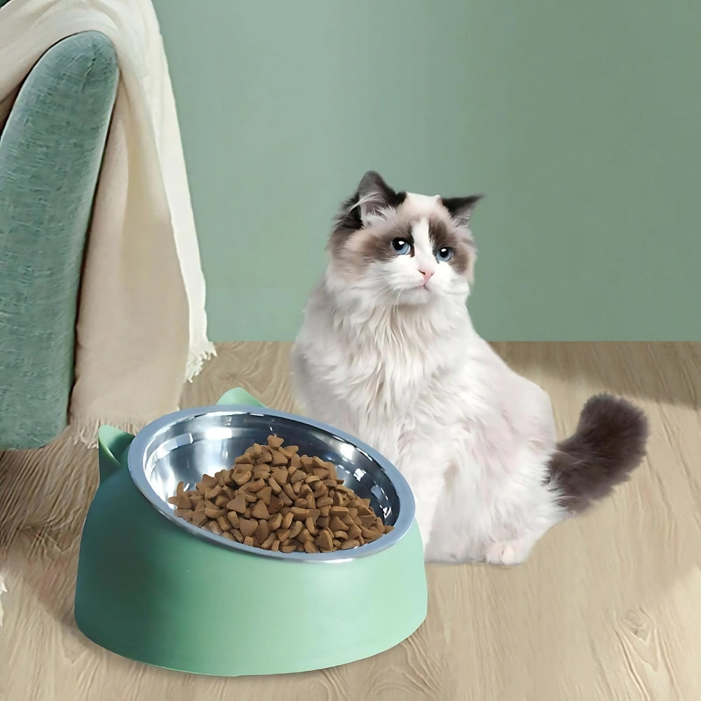 Tilted Stainless Steel Cat Feeding Bowl with Non-Slip Base