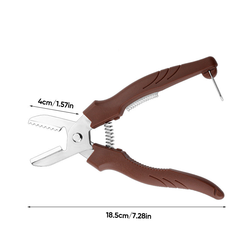 Stainless Steel Chestnut Peeling Tool with Ergonomic Handle