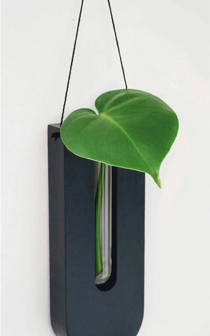 Wooden Wall Plant Holders Set for Vertical Display