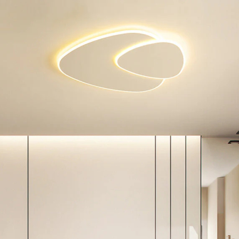 Minimalist Organic Elliptical LED Ceiling Lamp