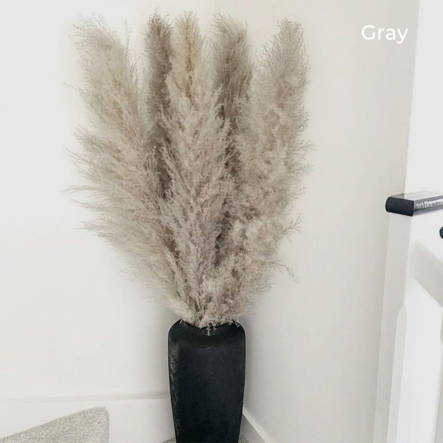 Natural Dried Pampas Grass Bouquet 80 cm - Fluffy White Beige Gray Feathers