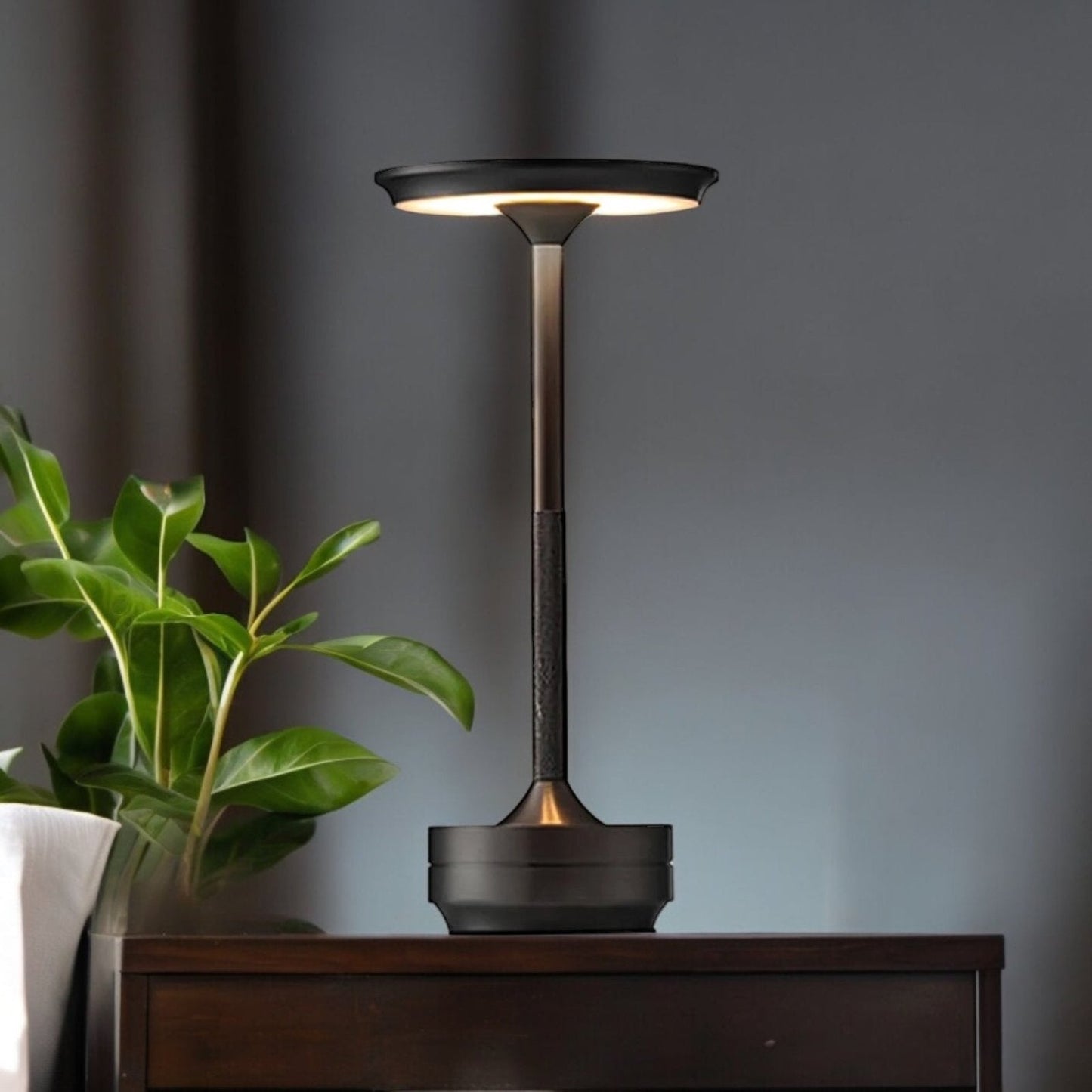 Cordless Rechargeable Touch Control Table Lamp with Dimmable LED and Stainless Steel Finish