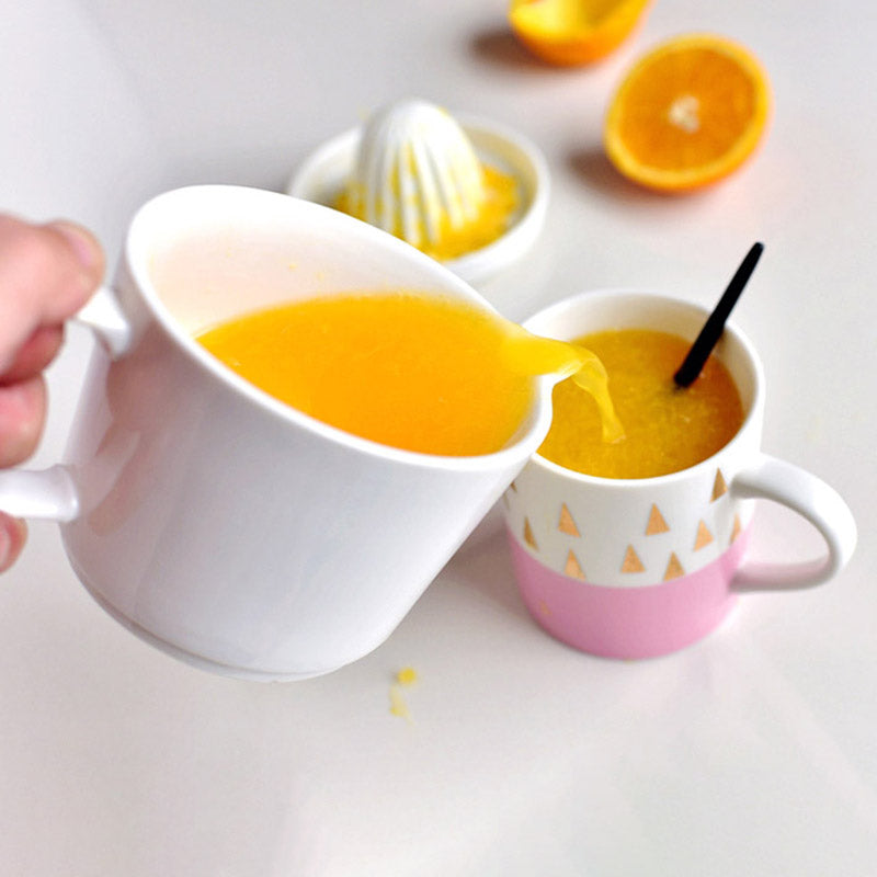 Ceramic Manual Citrus Juicer - Elegant White Design