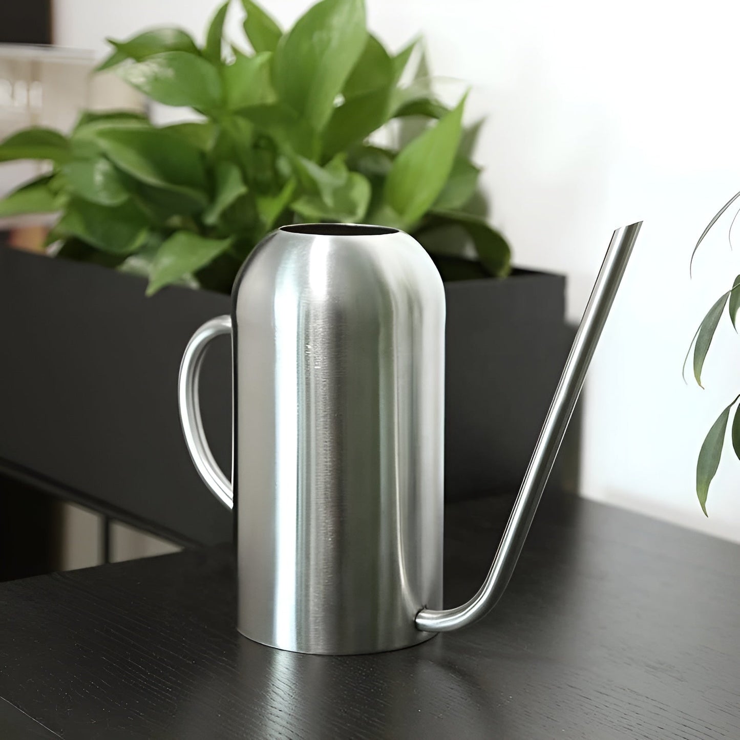 Stainless Steel Watering Can 1.5L with Precision Spout