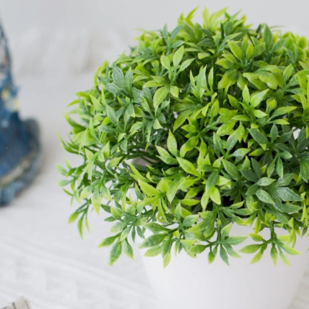 Artificial Boxwood Bonsai in White Pot
