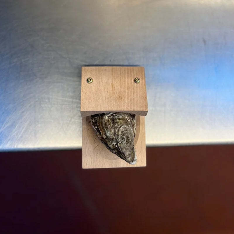 Wooden Handle Oyster Shell Opener Clamp