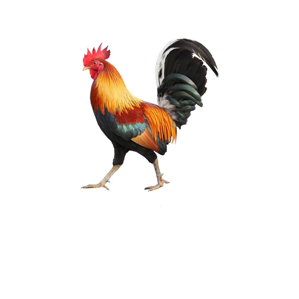 Acrylic Feathered Bird Garden Figure