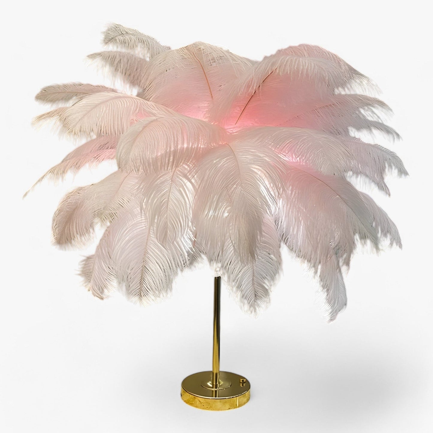 Elegant LED Desk Lamp with Feather Accents