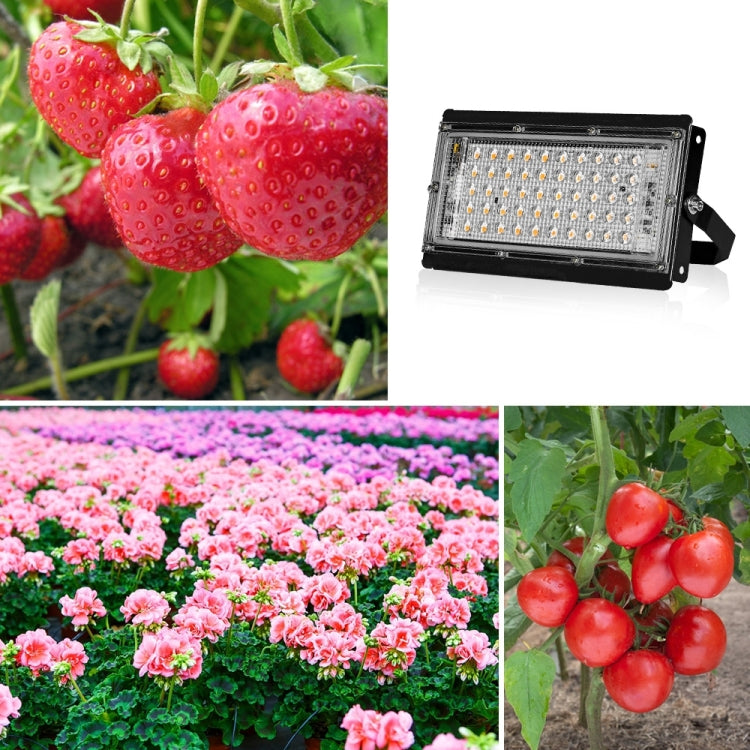 Full Spectrum LED Grow Light 200W Waterproof with EU Plug