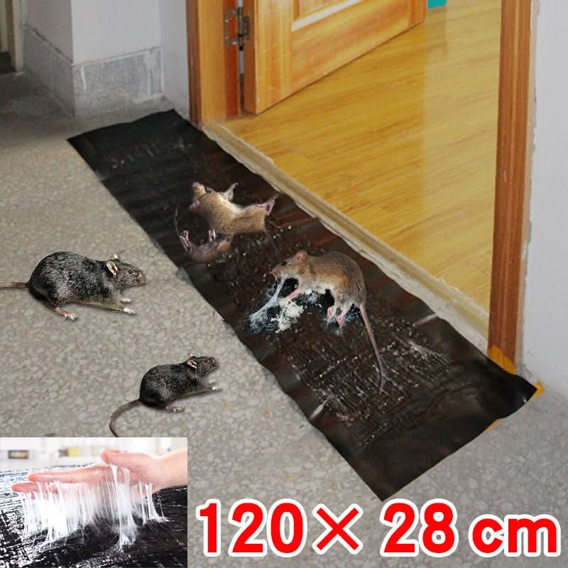 Rodent Glue Trap Sticky Board for Mouse and Rat Control