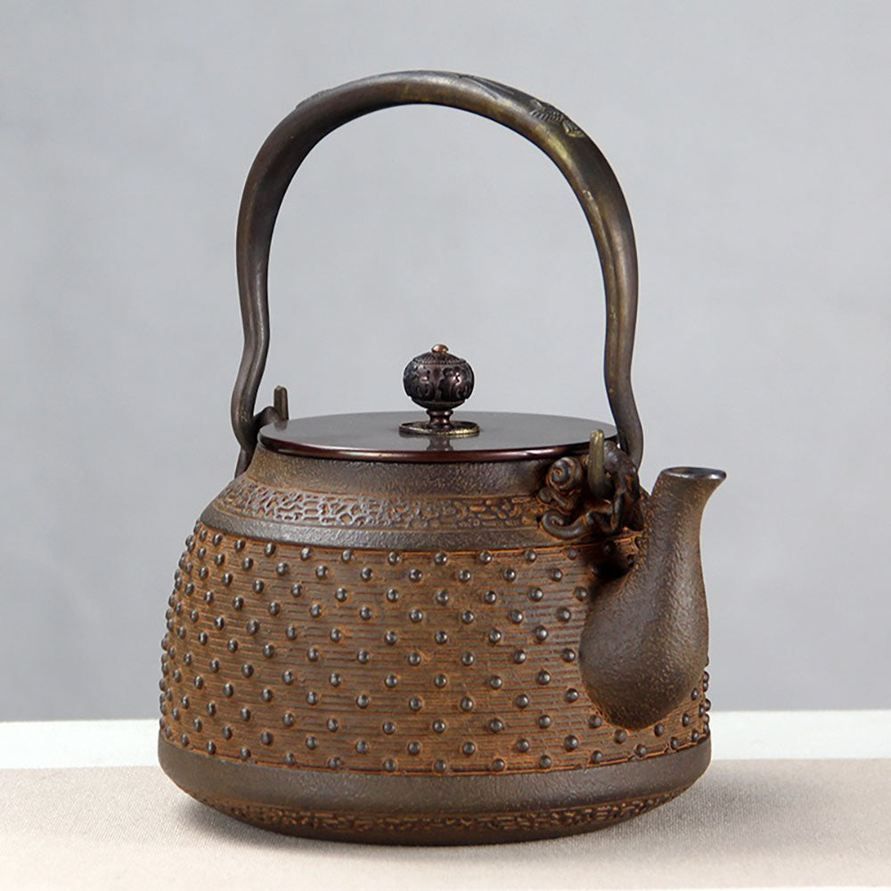 Japanese Cast Iron Teapot with Rivet Design