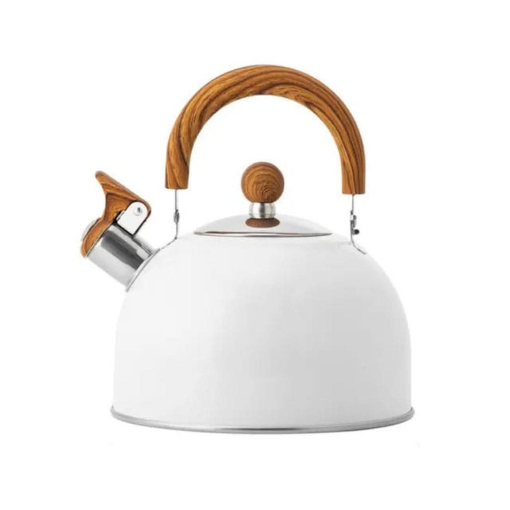 Stainless Steel Whistling Kettle with Ergonomic Handle, 3L Capacity