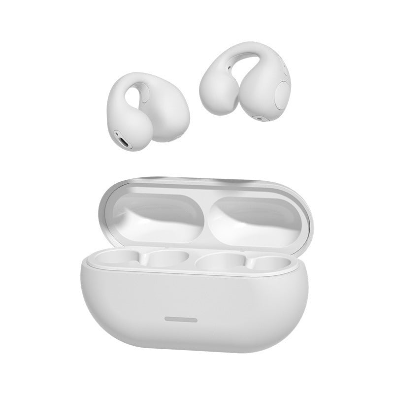 Wireless Noise Cancelling Earbuds with Comfortable Earclips