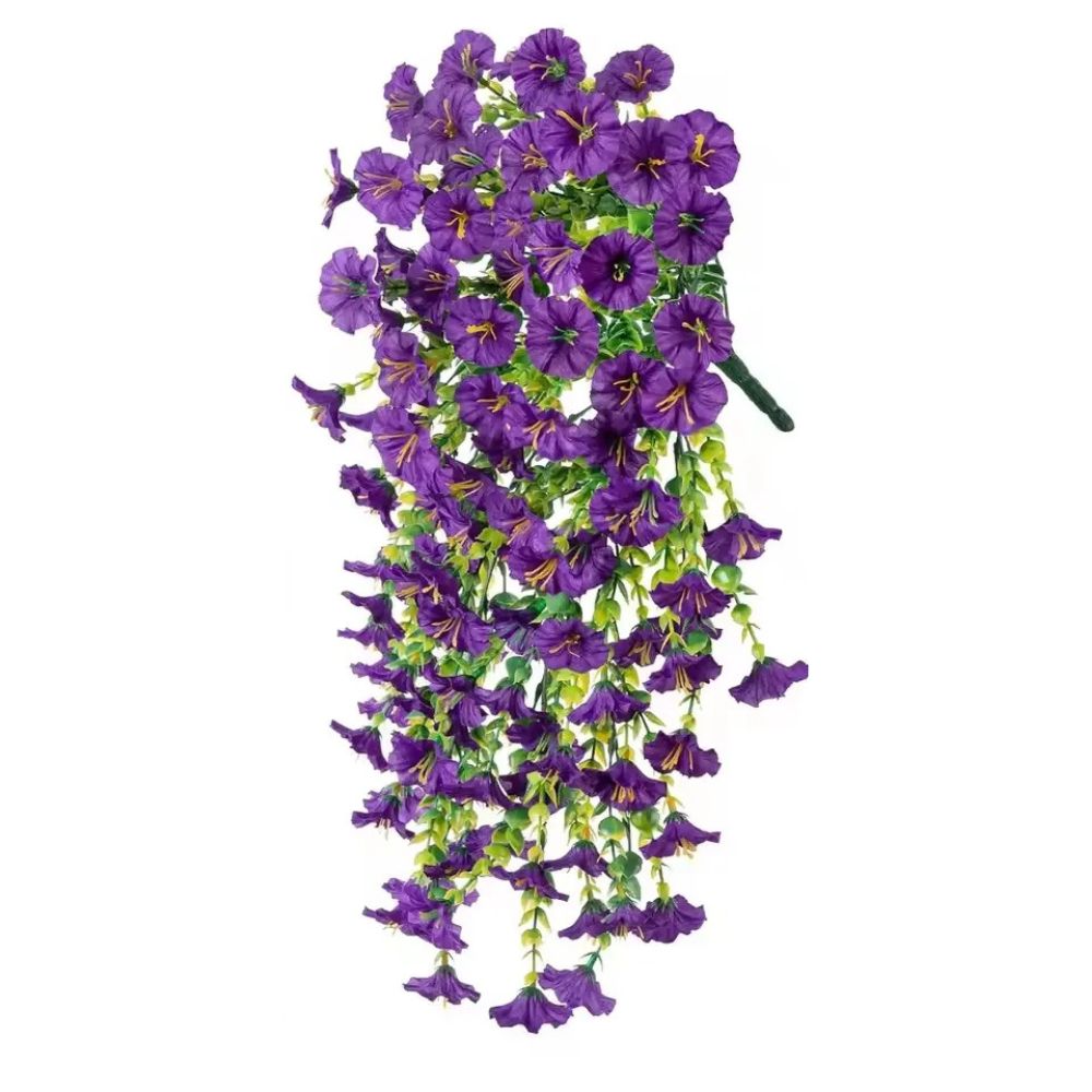 UV-Resistant Morning Glory Vines for Balcony and Garden