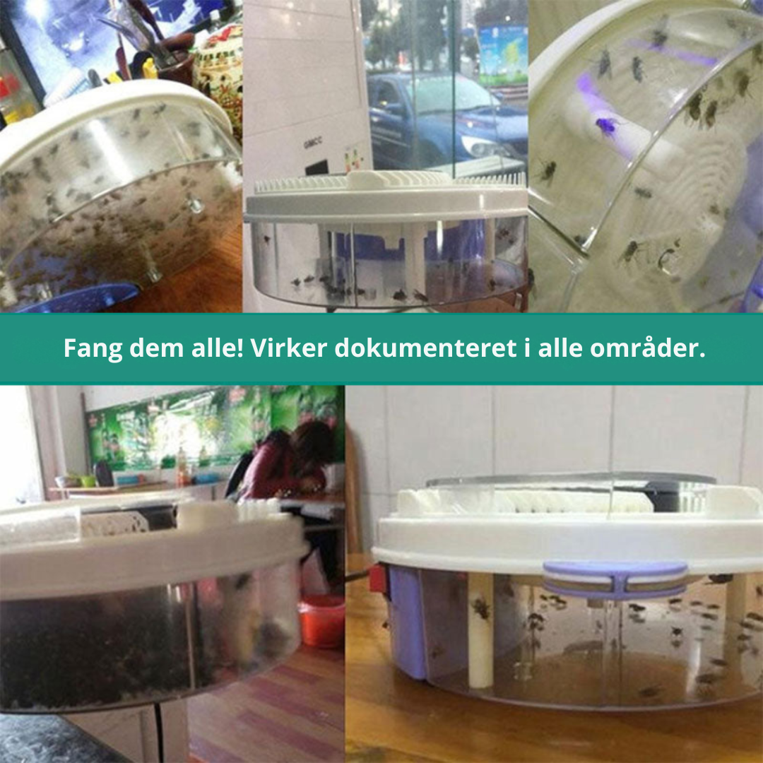 Silent Non-Toxic Fly Trap for Indoor and Outdoor Use