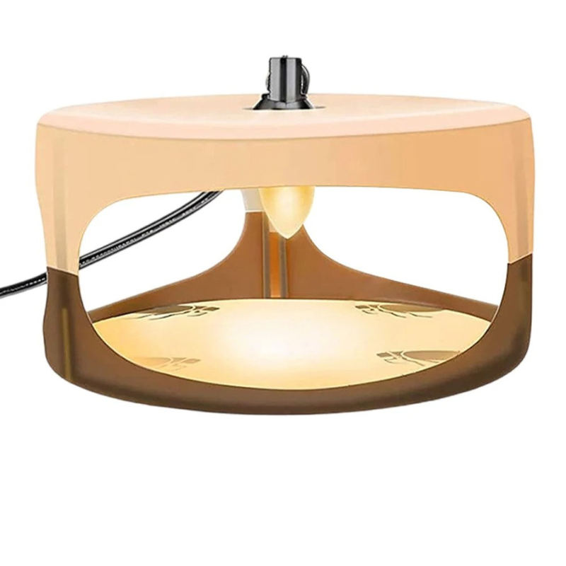 Indoor Sticky Insect Trap for Fleas and Bed Bugs