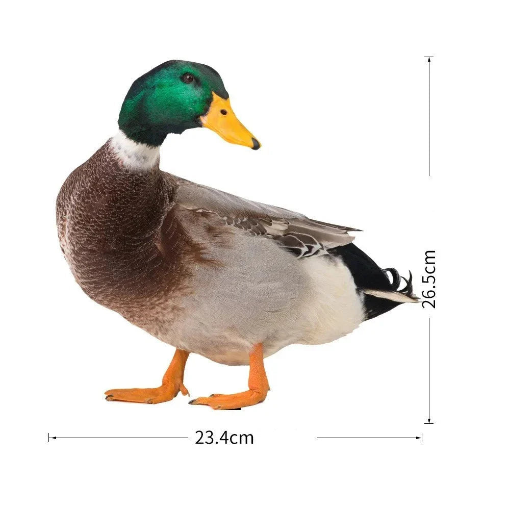 Double-Sided Duck Garden Decoration - Weather-Resistant Acrylic