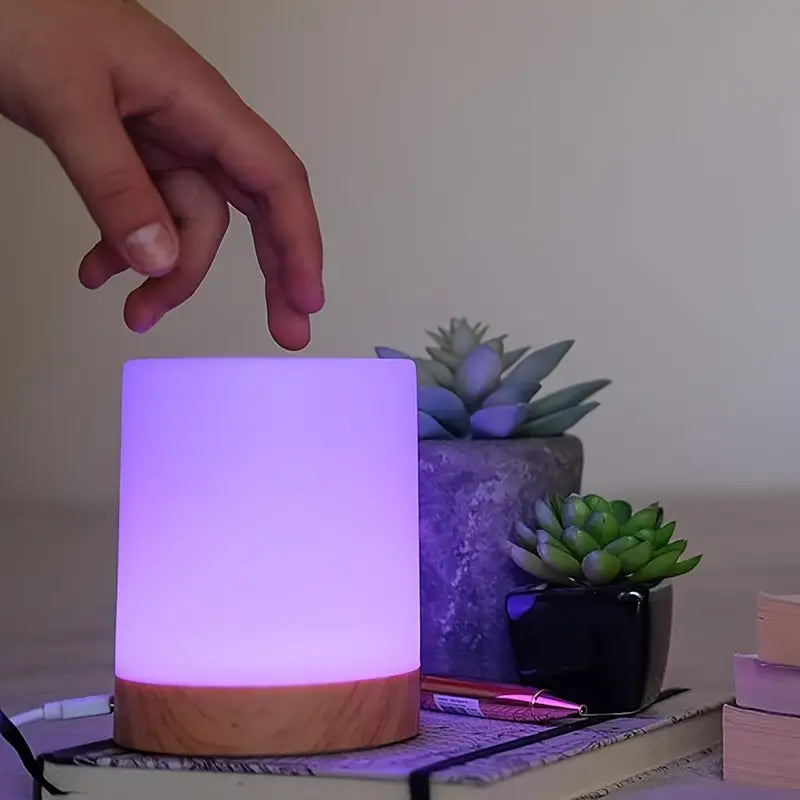 Dimmable Adjustable LED Night Light with Color Transition
