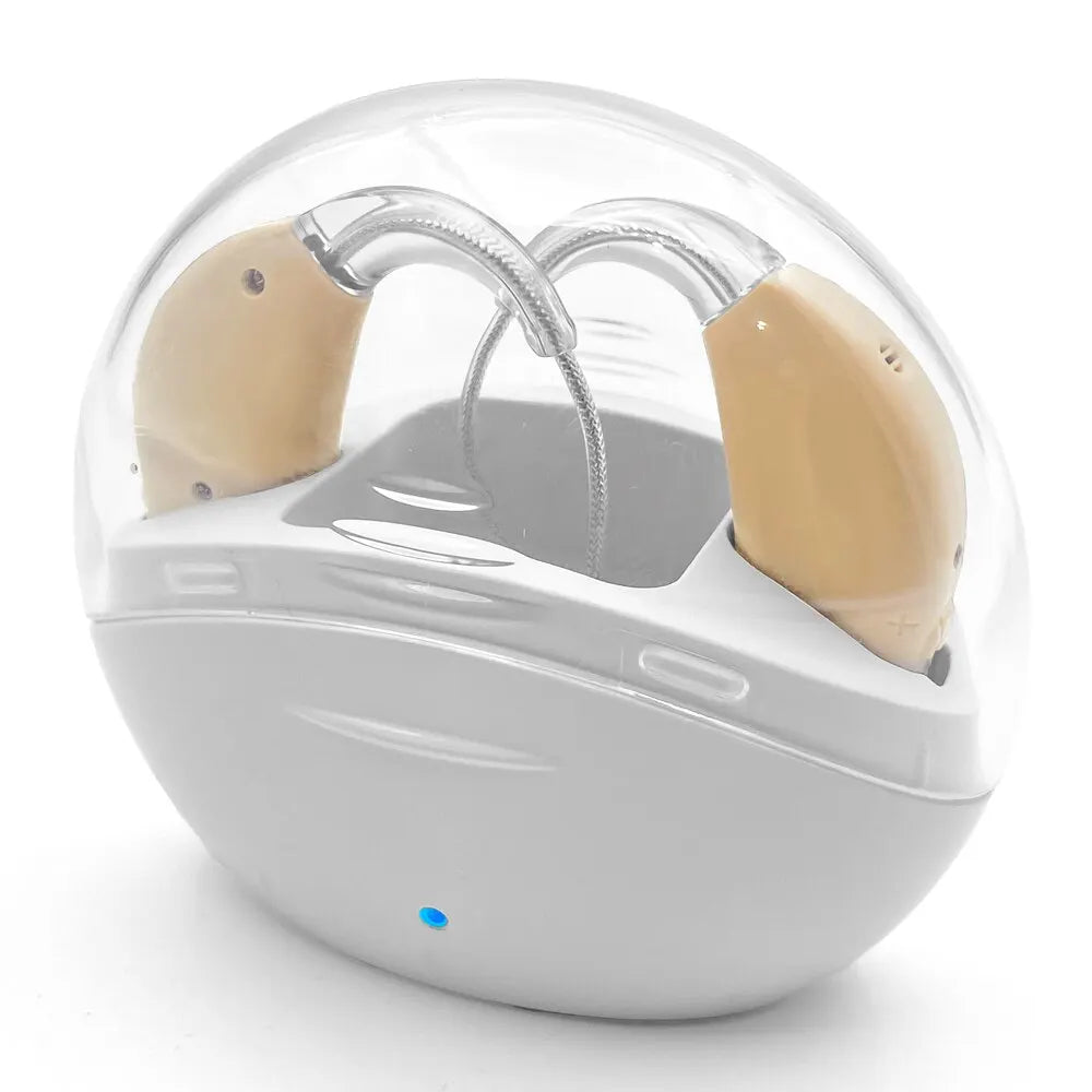 Compact Rechargeable Hearing Aid with Intelligent Noise Reduction