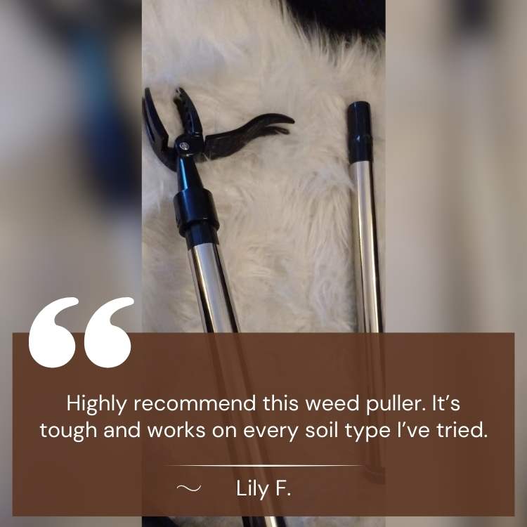 Ergonomic Heavy-Duty Weed Puller with Steel Tip