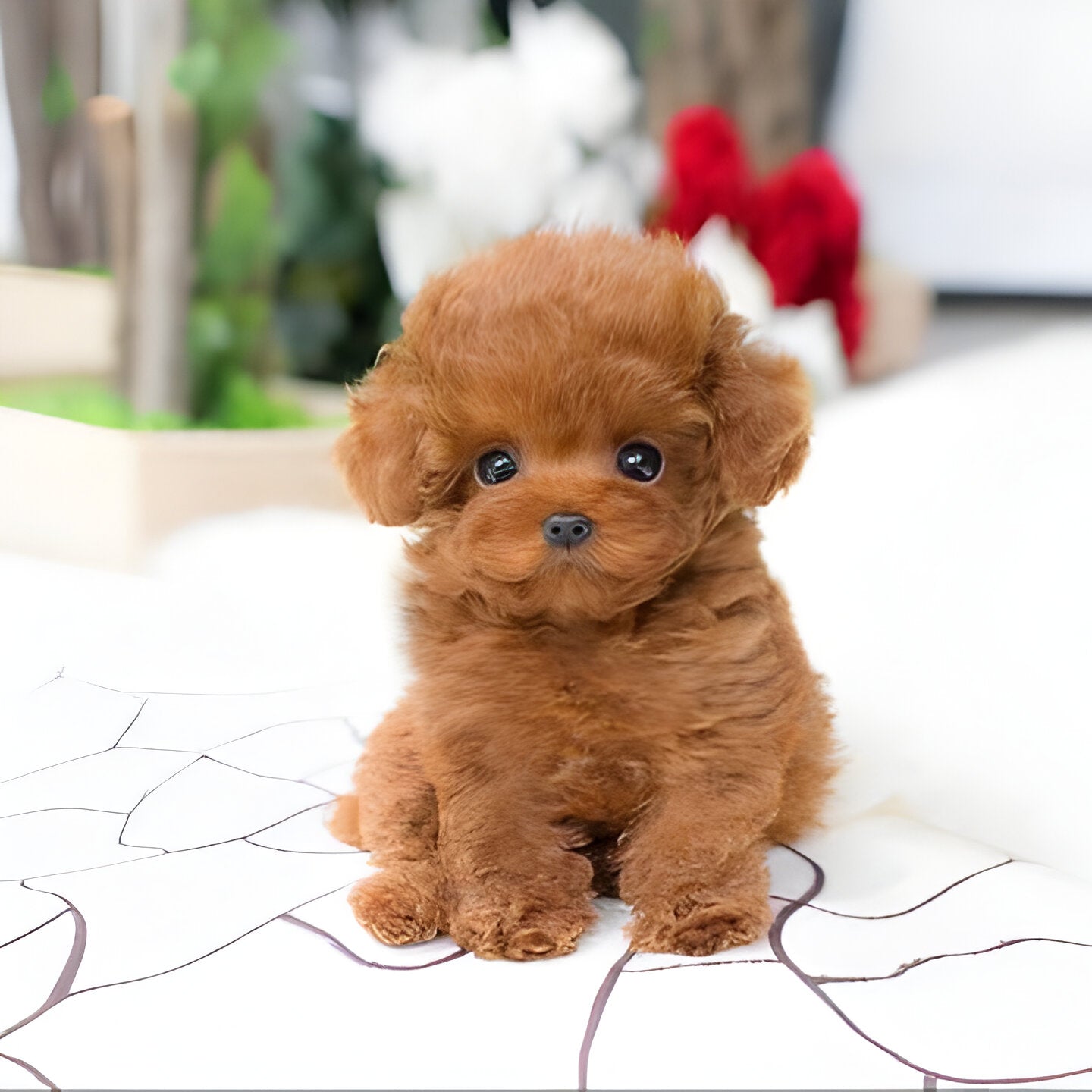 Realistic Plush Teddy Dog with Hand-Sculpted Details