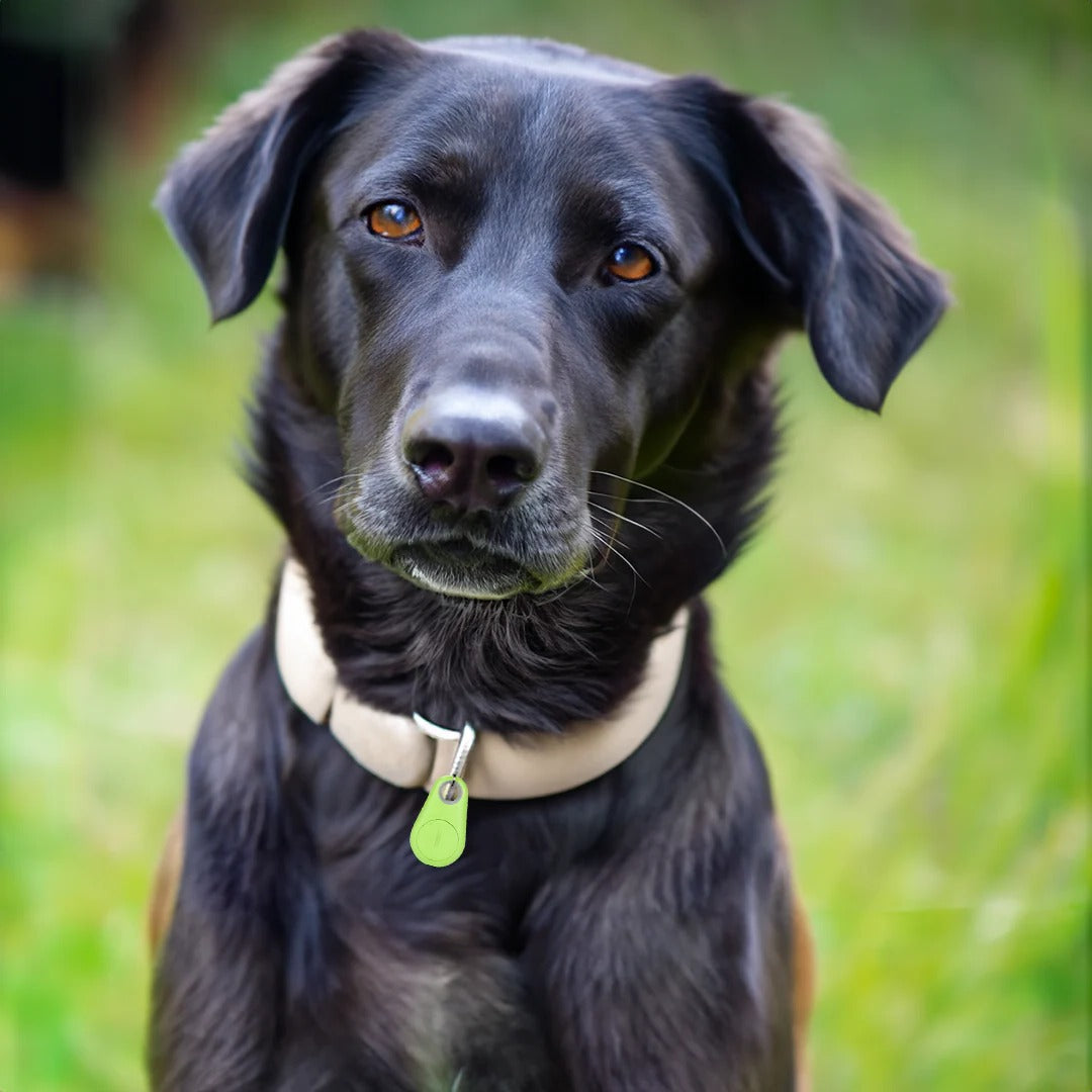 Waterproof Bluetooth GPS Pet Tracker for Dogs and Cats