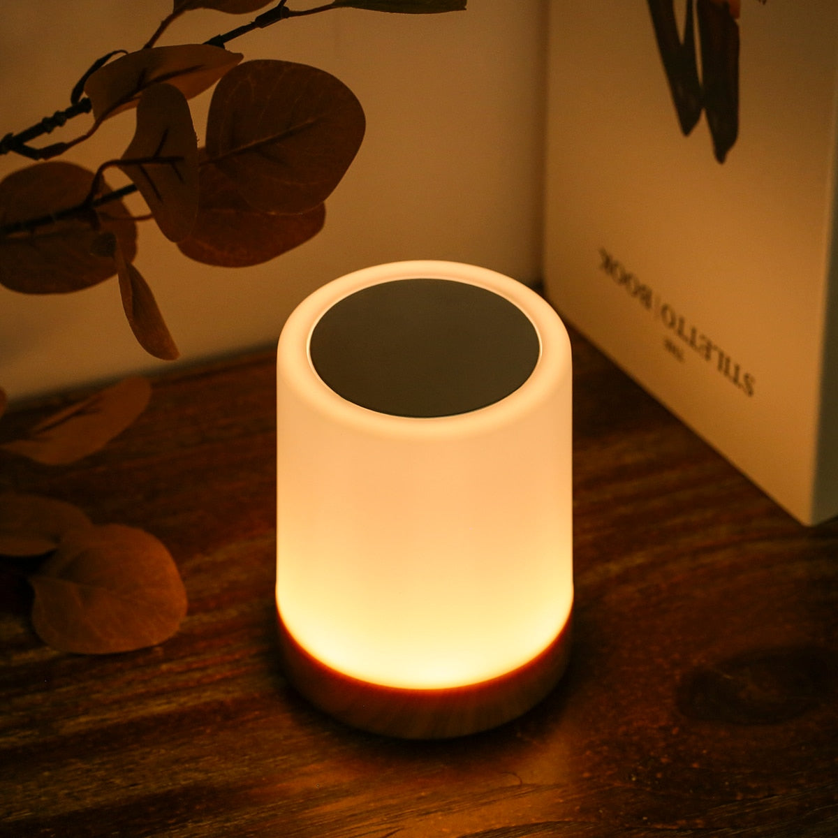 Rechargeable Adjustable LED Night Light Lamp