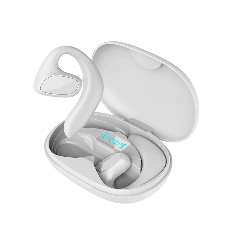 Translation Earbuds with Offline Mode and Real-Time Voice Support