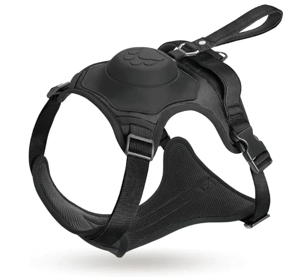 Durable Comfortable Dog Leash with Swivel Lock