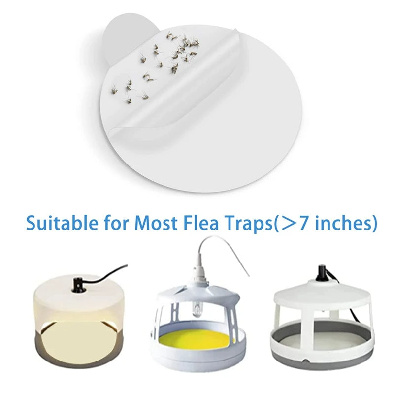 Sticky Bed Bug Trap Refill Adhesive Plates - Chemical-Free Pest Control