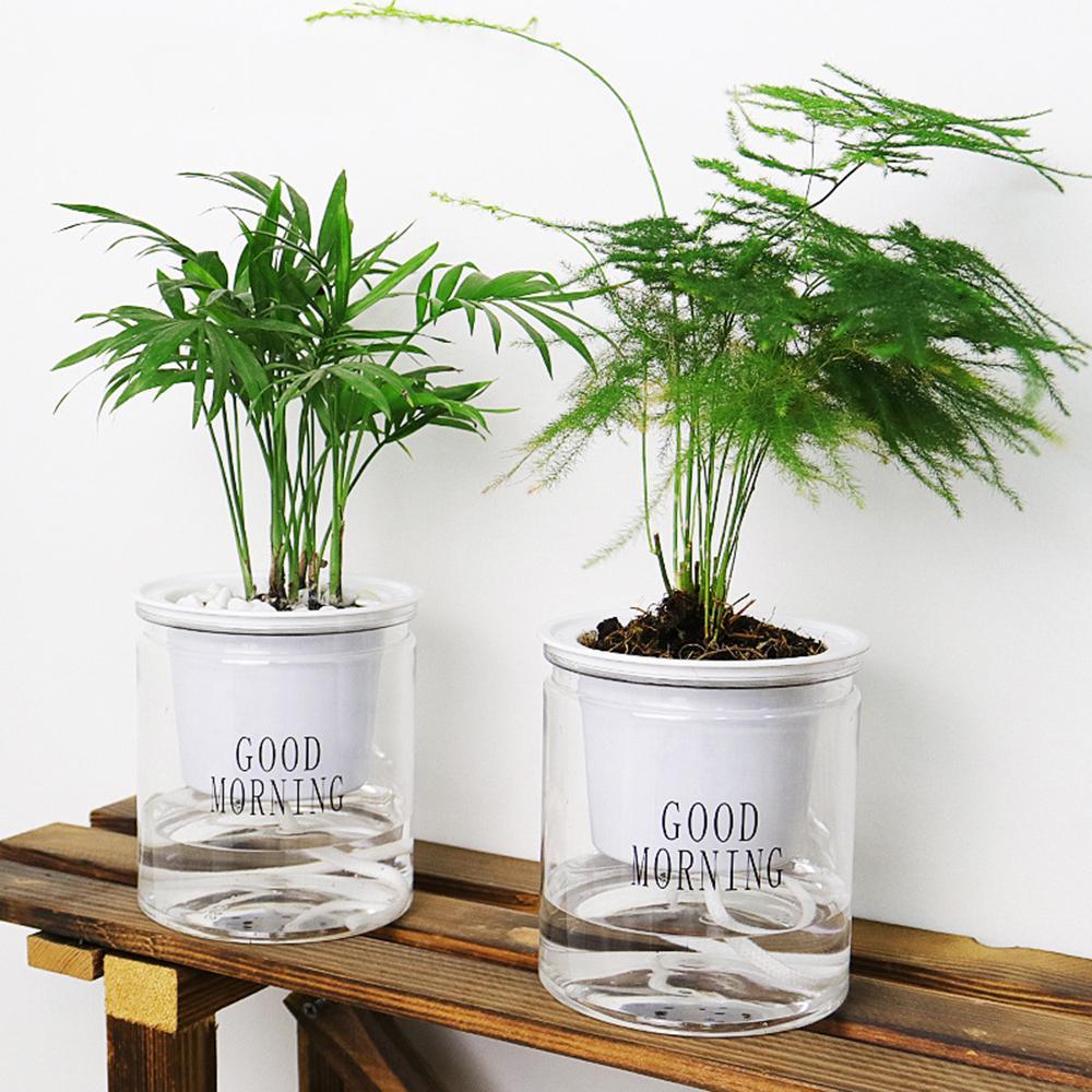 Self-Watering Eco-Friendly Flower Pot with Cotton Wick