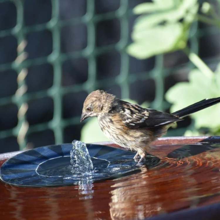 Solar Floating Pond Fountain with Multiple Spray Modes