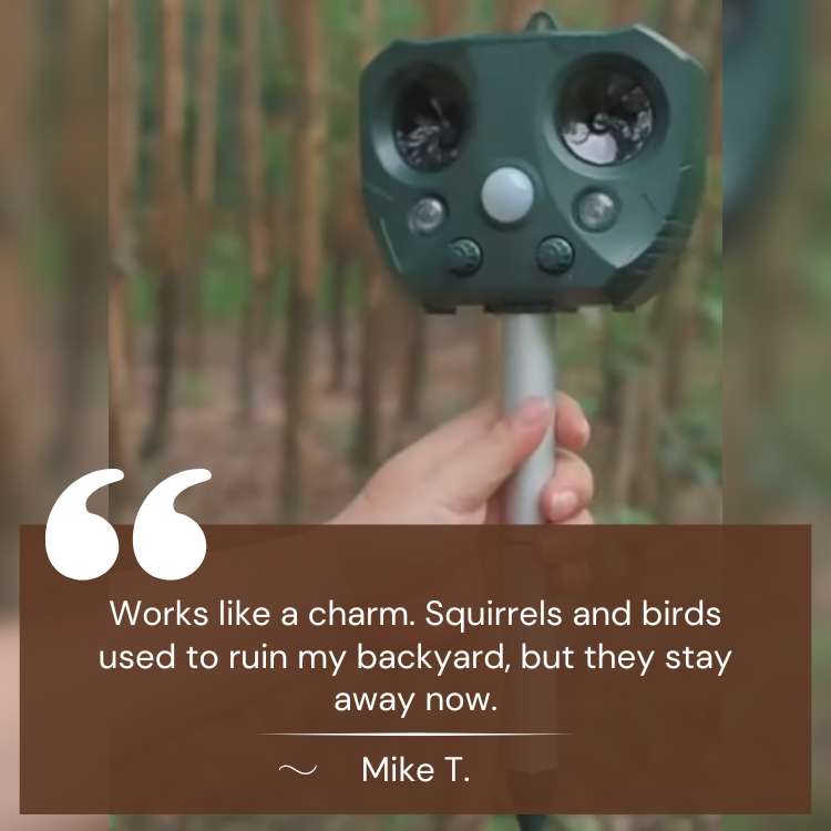 Ultrasonic Solar Bird and Pest Repeller with Motion Sensor