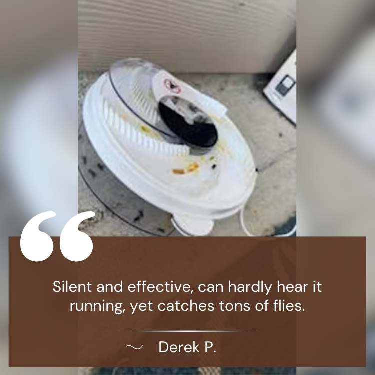 USB-Powered Silent Fly Trap with Eco-Friendly Bait Stations