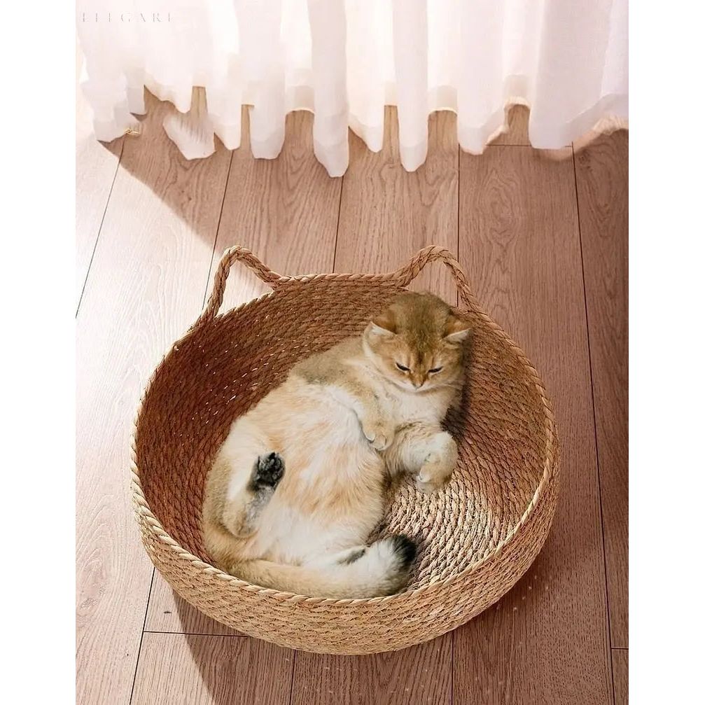 Orthopedic Cat Bed with Removable Cushion for Joint Relief