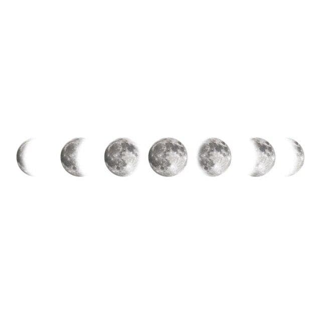 Mouth Phases PVC Wall Sticker 115x21cm