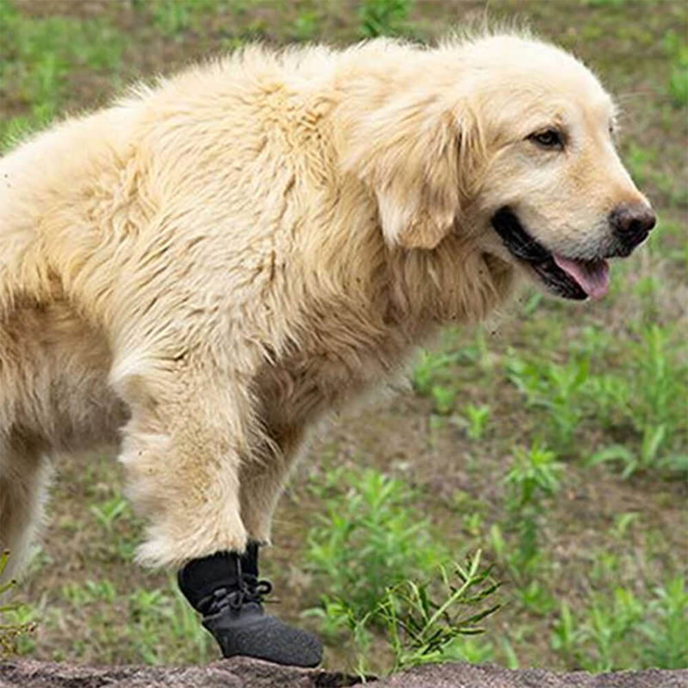Waterproof Breathable Dog Hiking Boots with Non-Slip Sole