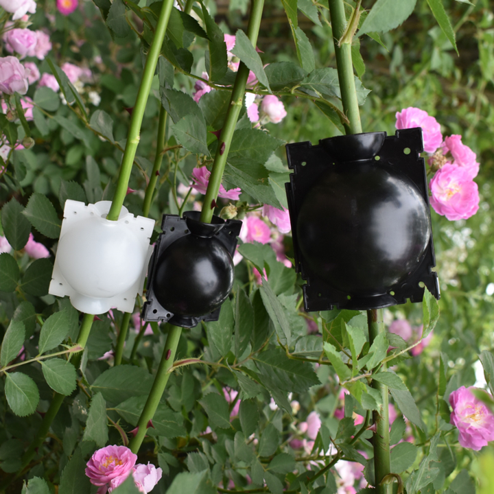 Air Layer Plant Propagation Capsule for Easy Plant Growth