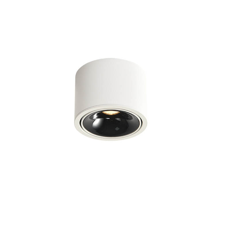 Adjustable Minimalist LED Recessed Ceiling Light in Black or White