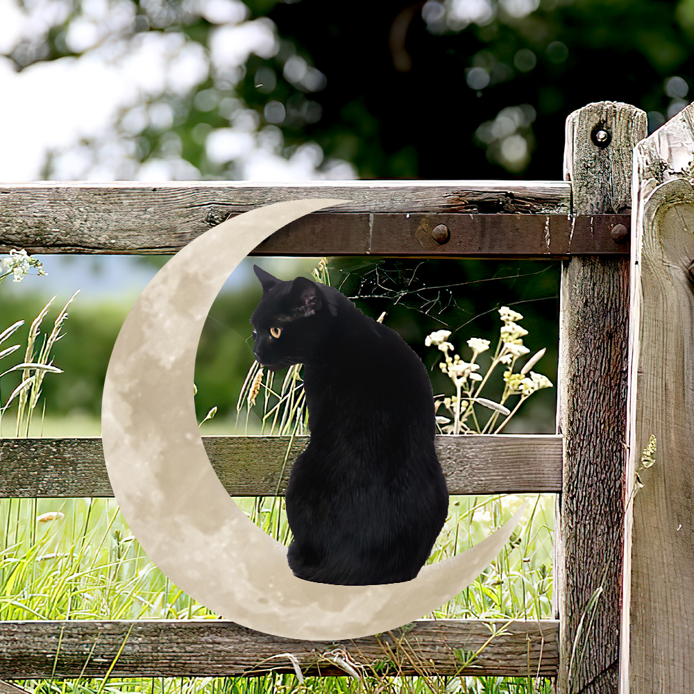 Black Cat Moon Metal Wall Sign
