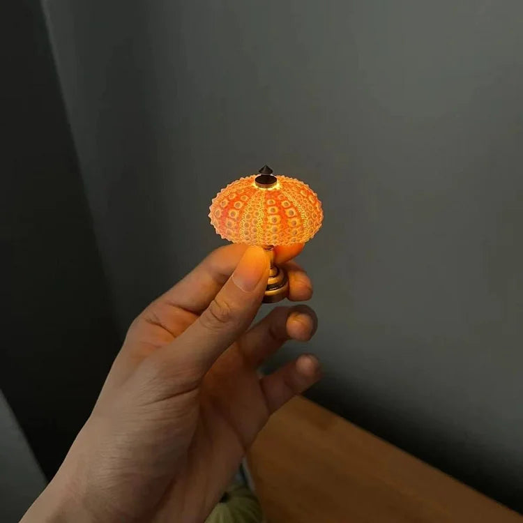 DIY Table Lamp with Natural Sea Urchin Shell and Gold Base