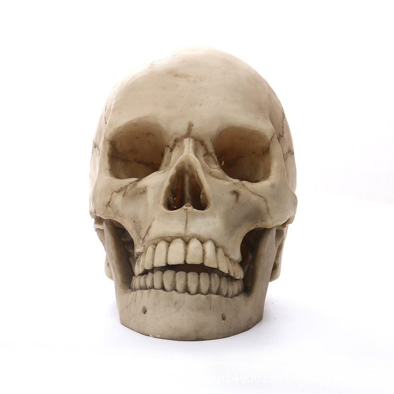 1:1 Human Skull Resin Sculpture for Halloween Decor and Medical Teaching
