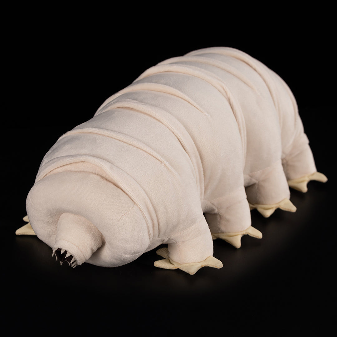 Tardigrade Water Bear Plush Toy - Soft Cotton Stuffed Animal