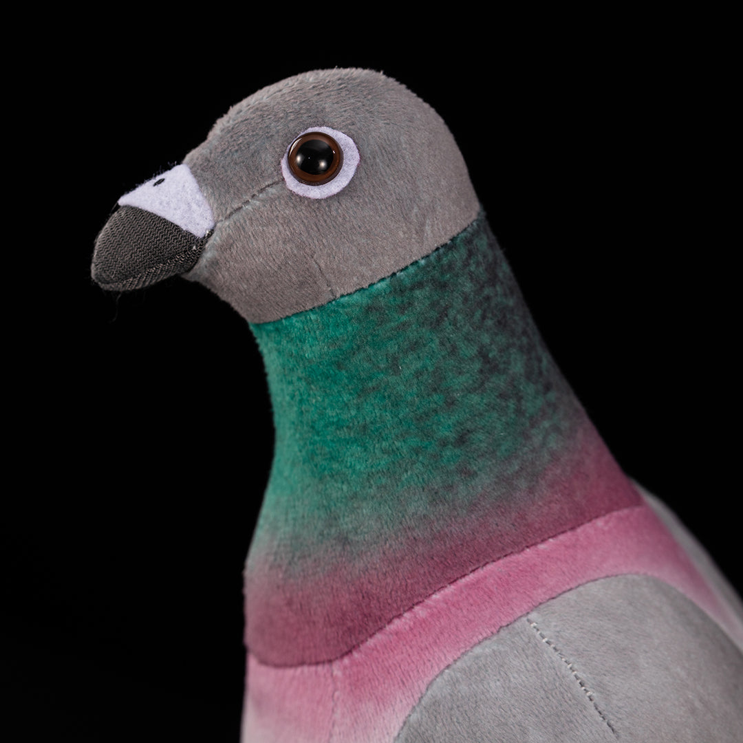 Common Pigeon Plush Stuffed Toy for Kids