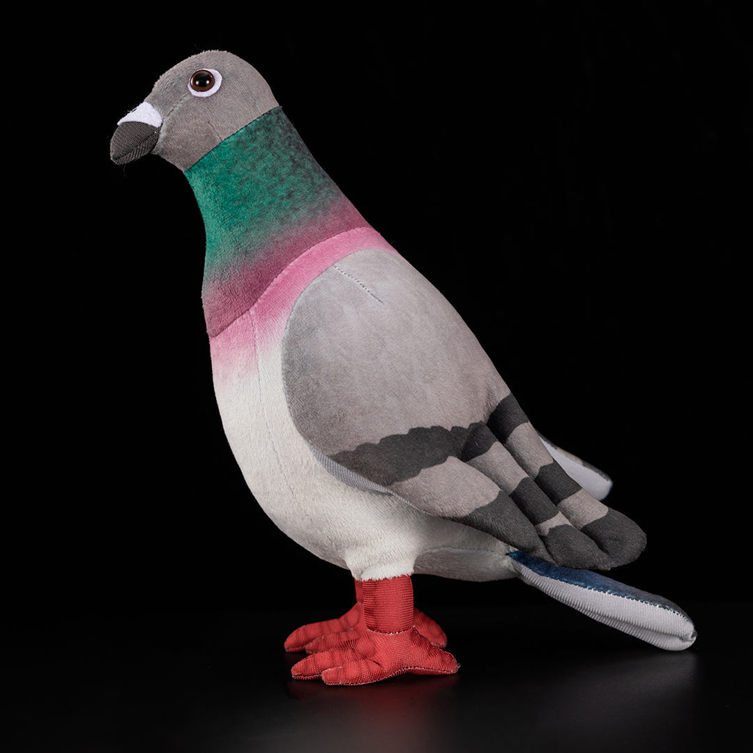 Common Pigeon Plush Stuffed Toy for Kids