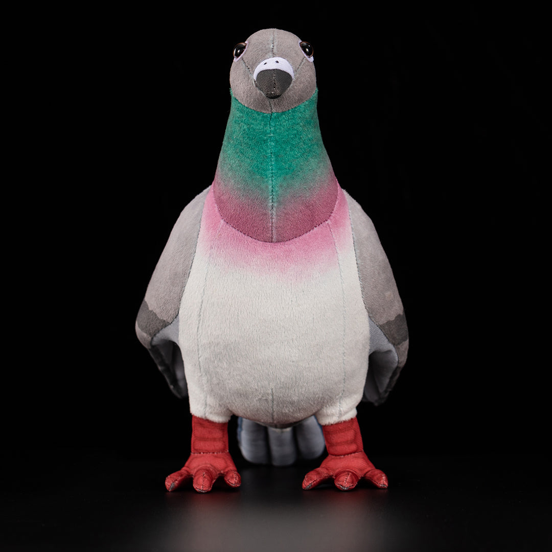Common Pigeon Plush Stuffed Toy for Kids