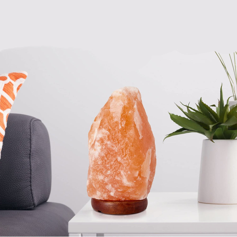Himalayan Salt Lamp with Dimming Switch - Natural Pink Rock Salt