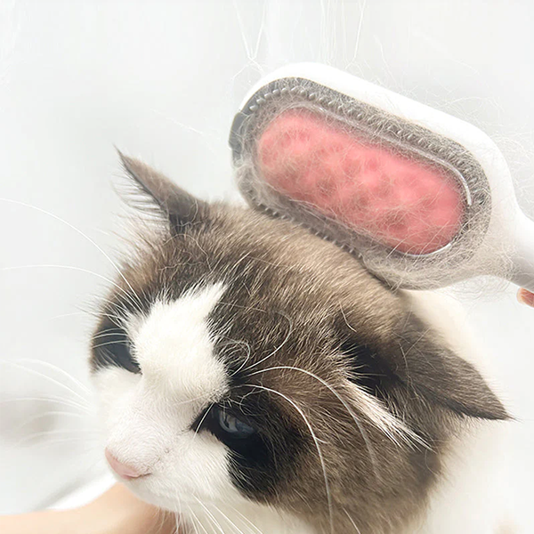 Pet Grooming Comb with Water Reservoir and Massage Function